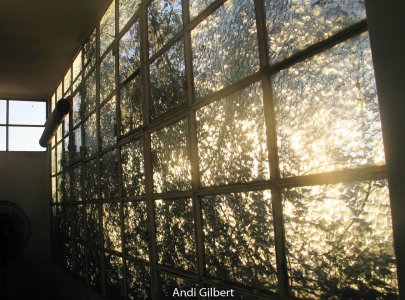 Muestra del taller de fotografia